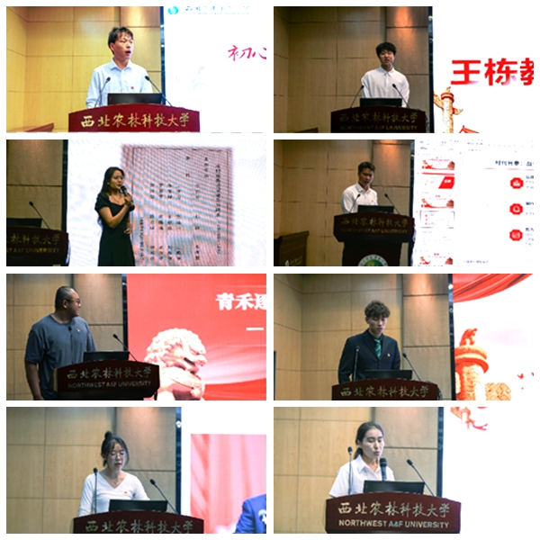 光影魔术手拼图_副本.jpg