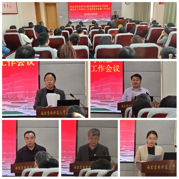 光影魔术手拼图.jpg