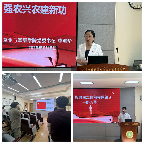 光影魔术手拼图.jpg