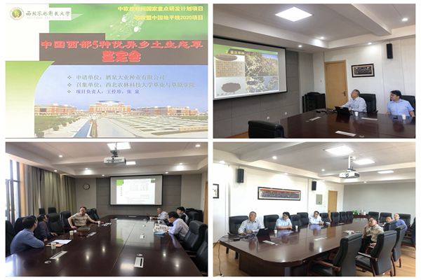 de36e0c7d4774e9bafca39c2e5f2af11.jpg 鉴定会现场.jpg